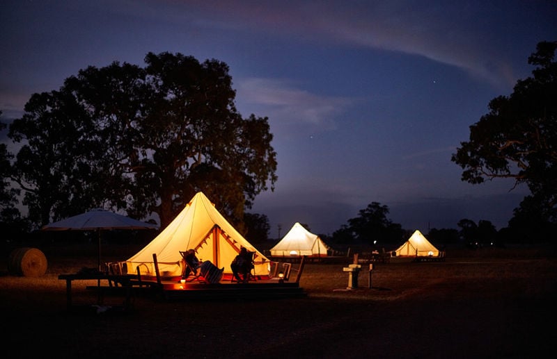 Bellwether Wines, Limestone Coast