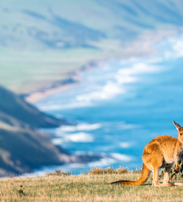 Itinerari nel South Australia