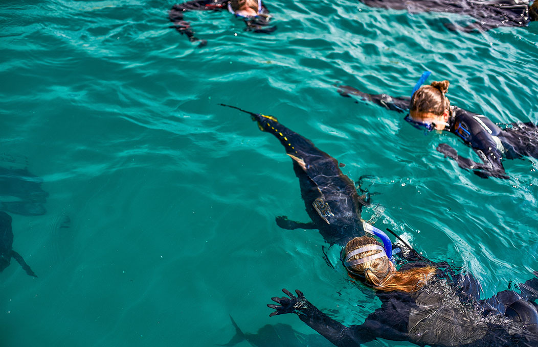 Oceanic Victor, Fleurieu Peninsula
