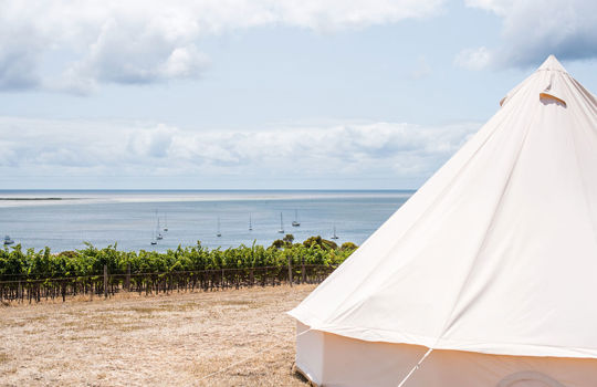 Bay of Shoals Wines, Kangaroo Island