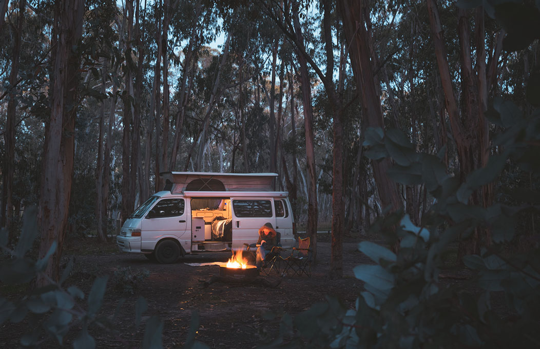 Kuitpo Forest, Fleurieu Peninsula