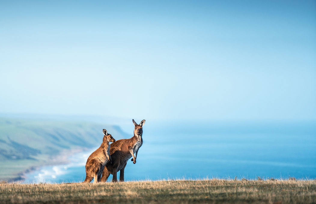 Deep Creek Conservation Park, Fleurieu Peninsula