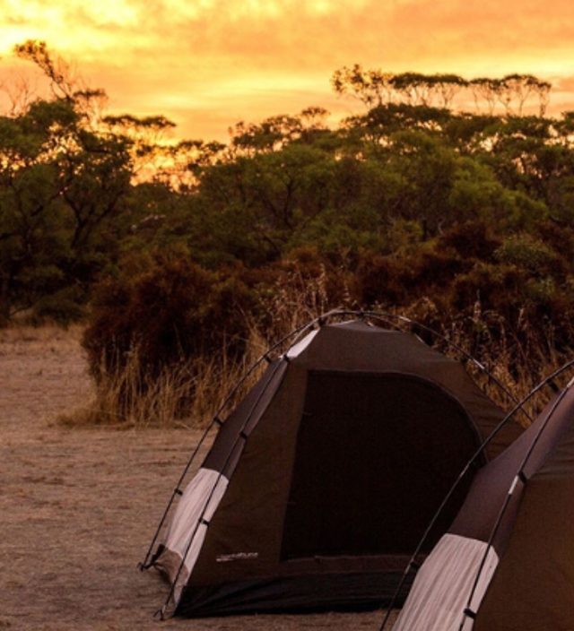 I 7 migliori luoghi adatti al camping nel South Australia