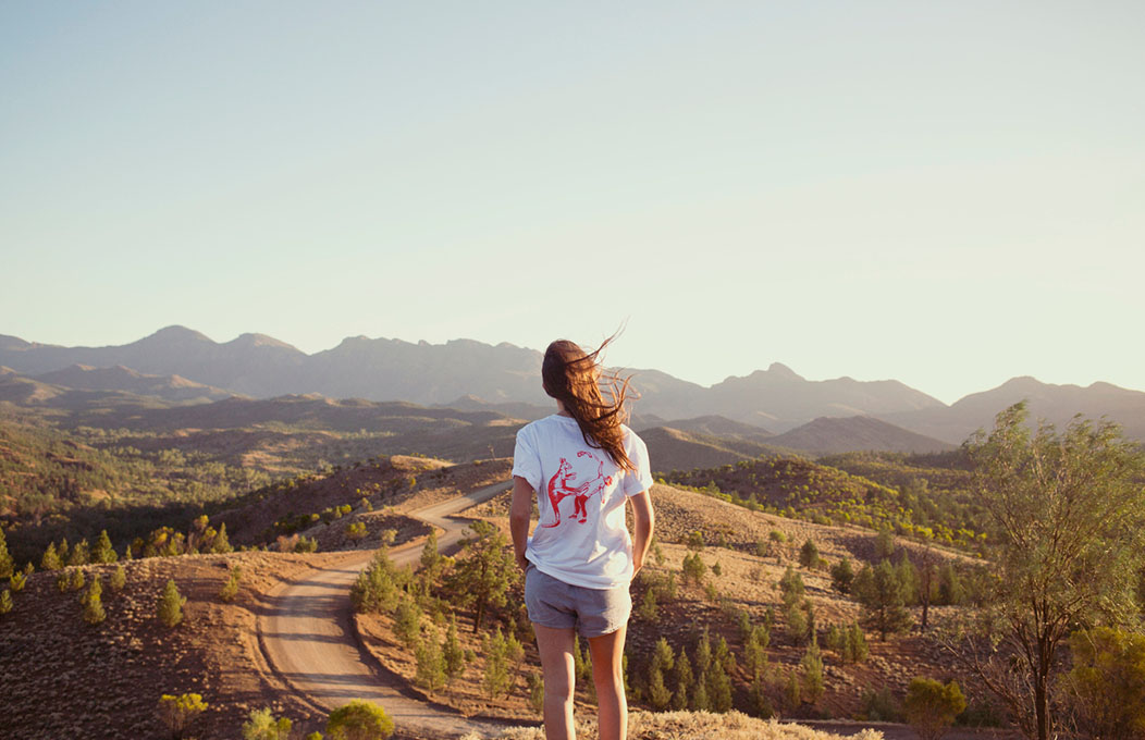 Bunyeroo Valley, Flinders Ranges & Outback